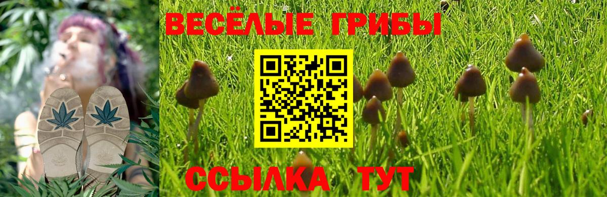 Славянск-на-Кубани  Галлюциногенные грибы мицелий  Вход с VPN  Псилоцибиновые грибы MAGIC MUSHROOMS 